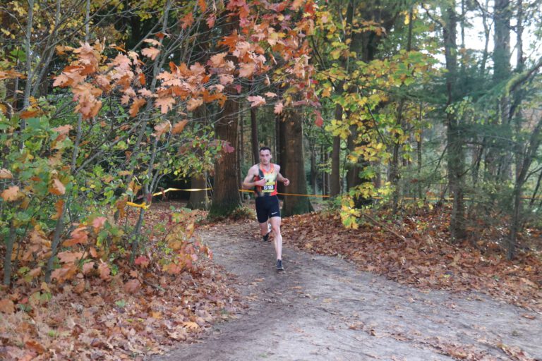 OER cross Havelterberg